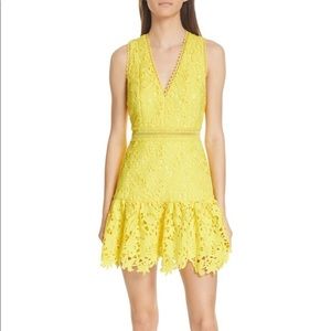 NWT Alice + Olivia Marleen Lace Overlay Dress